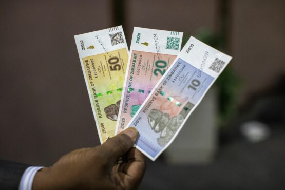 Dollar 6.0: yes, the ZiG is Zimbabwe’s 6th attempt to renew local currency
