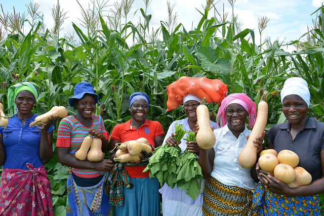 NewsDay, Not 2% of Zim women but 2% of the documented agricultural population are women  