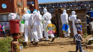 Don’t let the bedbugs bite – no outbreak in Bulawayo