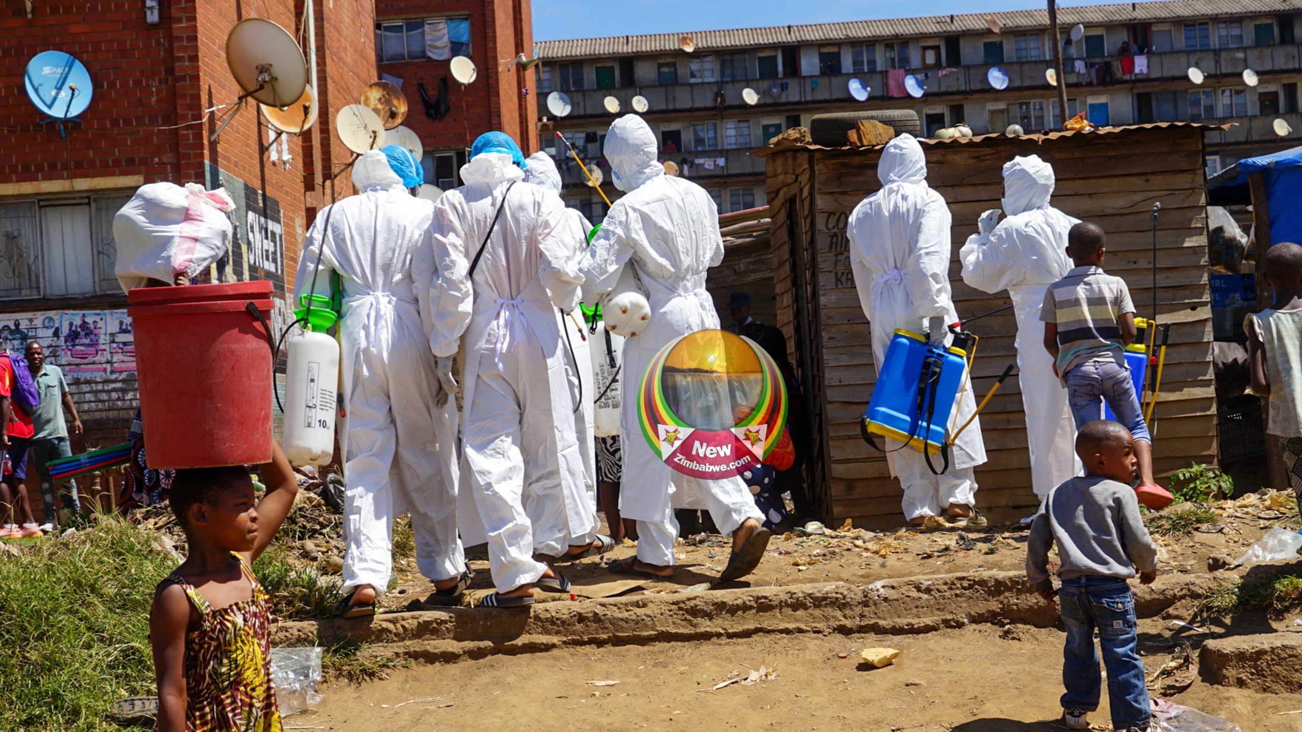 Don’t let the bedbugs bite – no outbreak in Bulawayo