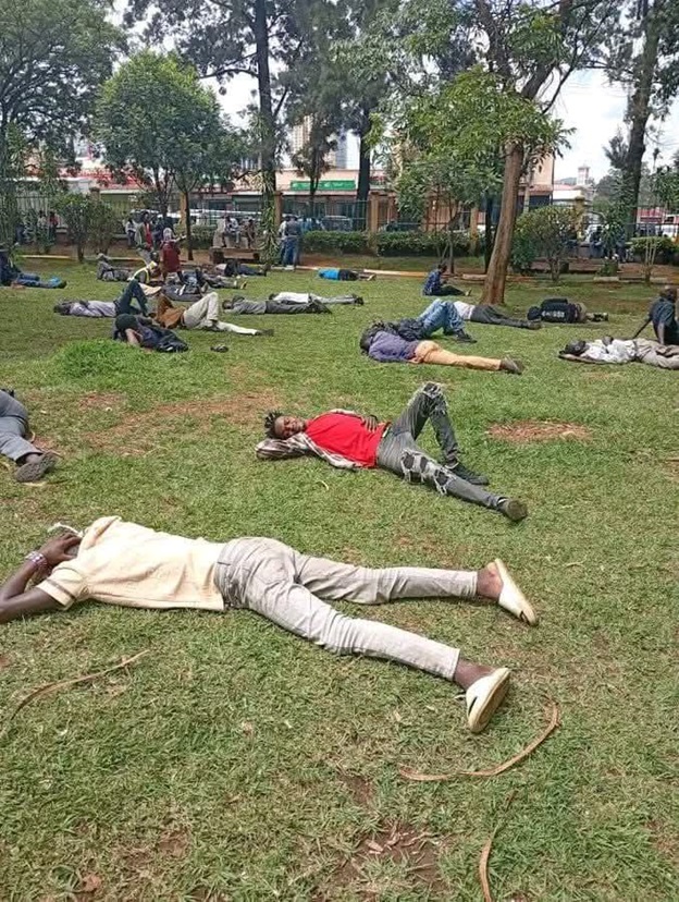 Viral image falsely links park to Zimbabwean drug abuse